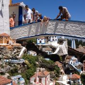 sobreiro